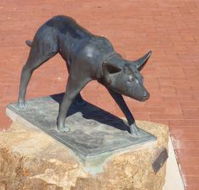 The Ardlethan Kelpie Caravan Park - Accommodation NT