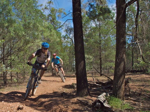 Back Yamma State Forest - Accommodation NT 0