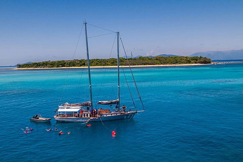 Ocean Free And Ocean Freedom - Cairns Premier Reef And Island Tours - Accommodation NT 3