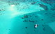 Ocean Free And Ocean Freedom - Cairns Premier Reef And Island Tours - thumb 0