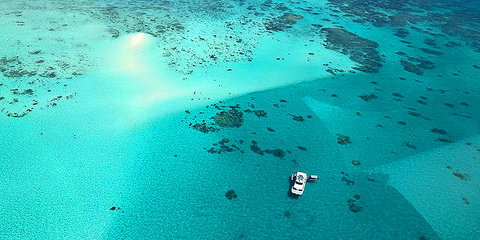 Ocean Free And Ocean Freedom - Cairns Premier Reef And Island Tours - Accommodation NT 0