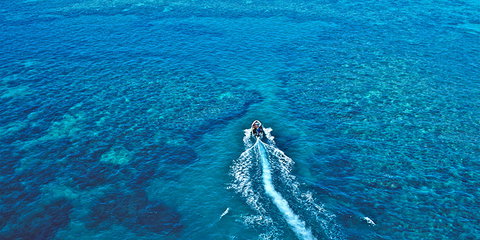 Ocean Free And Ocean Freedom - Cairns Premier Reef And Island Tours - Accommodation NT 1