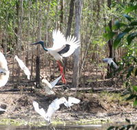 Rakhi Retreat - Accommodation NT