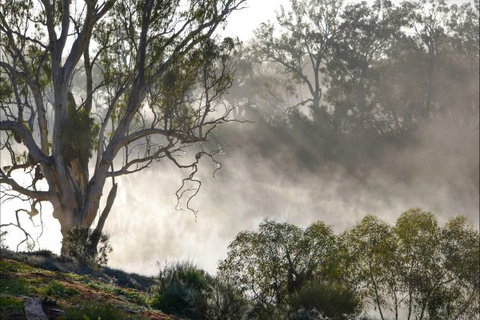 River Shack Rentals - Living The Dream - Accommodation NT 57