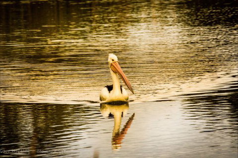 River Shack Rentals - Living The Dream - Accommodation NT 55