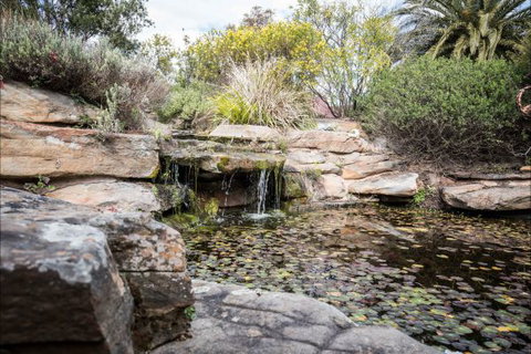 River Shack Rentals - Living The Dream - Accommodation NT 35