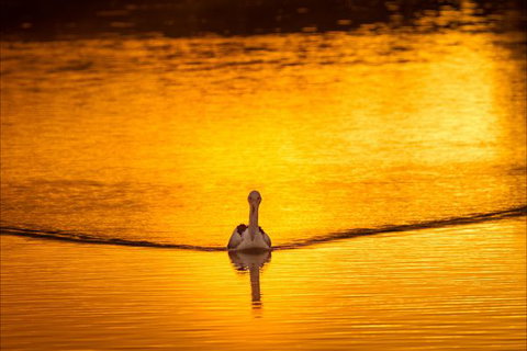 River Shack Rentals - Living The Dream - Accommodation NT 0