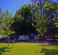 Ardern's Caravan Park Myrtleford - Accommodation NT