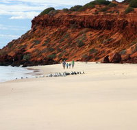 Herald Bight Camp at Francois Peron National Park - Accommodation NT