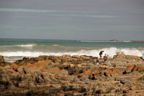 Norfolks - Accommodation NT 7