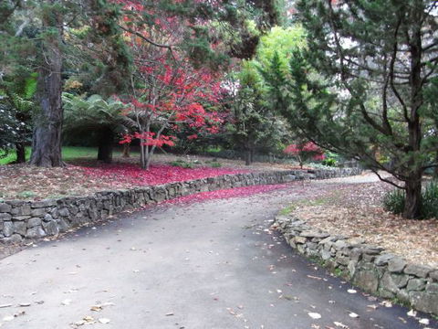 The Jungle Lodge, Blue Mountains Botanic Gardens - Accommodation NT 5
