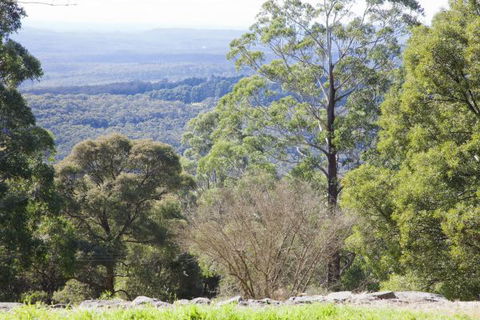 The Jungle Lodge, Blue Mountains Botanic Gardens - Accommodation NT 6