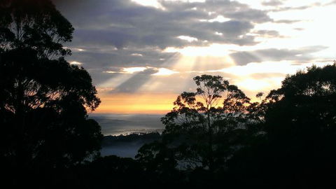 The Jungle Lodge, Blue Mountains Botanic Gardens - Accommodation NT 8