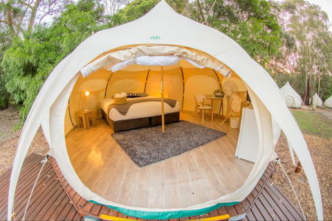 Yarra Valley Park Lane Glamping Belle Tents - Accommodation NT 8
