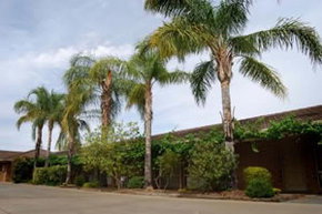 Darling Junction Motel - Accommodation NT 2