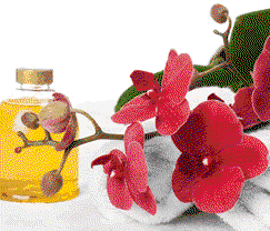 Sunny Hill Retreat Accommodation & Day Spa - Accommodation NT 0