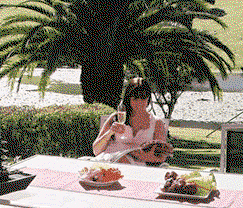 Sunny Hill Retreat Accommodation & Day Spa - Accommodation NT 4