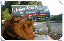 Arthur River Cabin Park - Accommodation NT 0