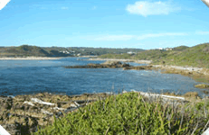 Arthur River Cabin Park - Accommodation NT 5