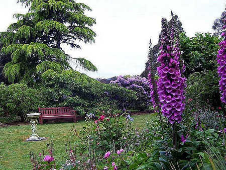 Donalea Bed & Breakfast - Accommodation NT 4
