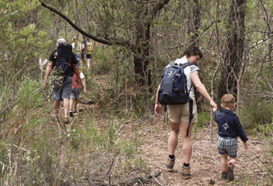 Bicheno East Coast Holiday Park - Accommodation NT 3