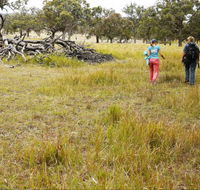 Carnarvon National Park camping - Accommodation NT