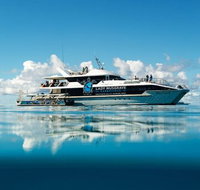 Bundaberg to Lady Musgrave Island Day Cruise - Accommodation NT