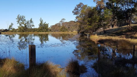Blueberry Hills On Comleroy - Accommodation NT 8