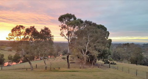 Blueberry Hills On Comleroy - Accommodation NT 9