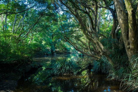 All About Me Bed And Breakfast - Accommodation NT 9