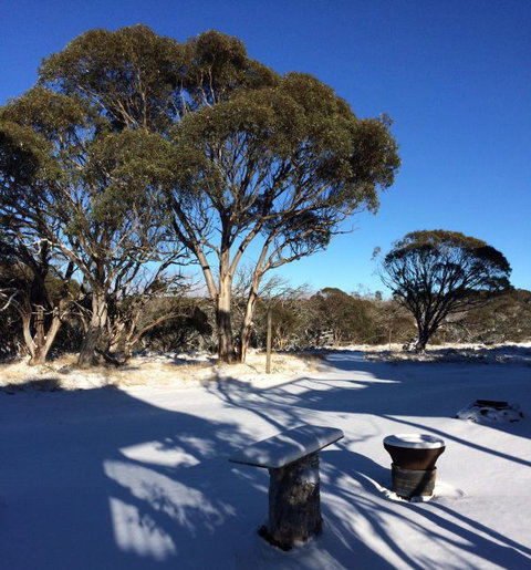 Cloud 9 Alpine Lodge - Accommodation NT 9