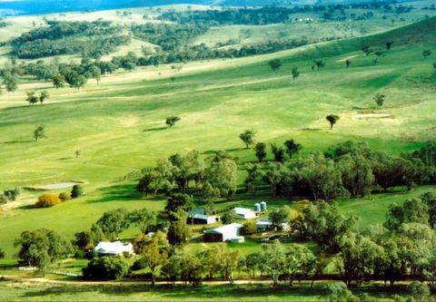 Daisyburn Homestead - Accommodation NT 0