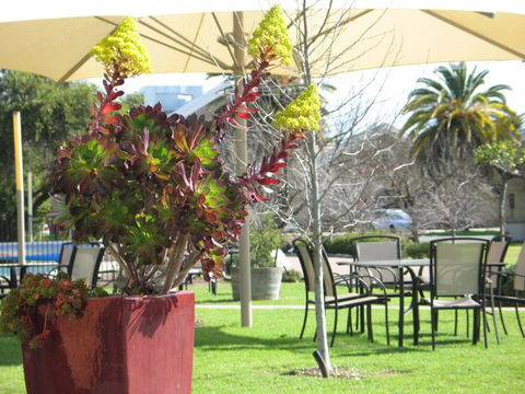 Golden Chain Wine Village Motor Inn - Accommodation NT 3