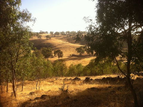 Jonathan Art Centre - Jarramarrumba House - Accommodation NT 6