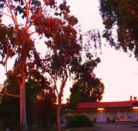 Murray Bridge Central Olympic Motel and Cottages - Accommodation NT