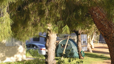 Barmera North Lake Caravan Park - Accommodation NT 4