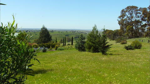 Jonathan Art Centre - Jarramarrumba House - Accommodation NT 0