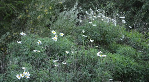 Northam Caravan Park - Accommodation NT 2