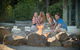 Paradise Country Farmstay - thumb 1