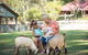 Paradise Country Farmstay - thumb 6