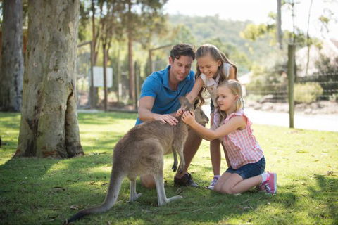 Paradise Country Farmstay - Accommodation NT 7