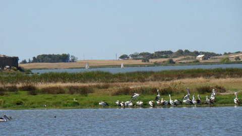 Peppertree Cottage - Accommodation NT 3