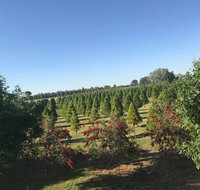 Rutherglen Christmas Trees Farm Stay - Accommodation NT