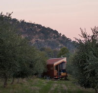 Shacky in the Olive Grove - Accommodation NT