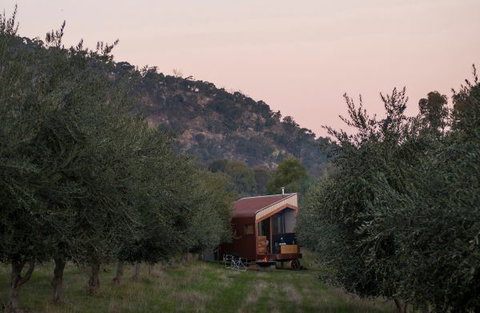 Shacky In The Olive Grove - Accommodation NT 0
