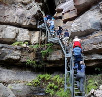 Takarakka Bush Resort Carnarvon Gorge - Accommodation NT