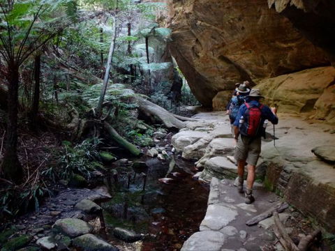 Takarakka Bush Resort Carnarvon Gorge - Accommodation NT 6
