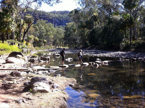 Takarakka Bush Resort Carnarvon Gorge - Accommodation NT 9