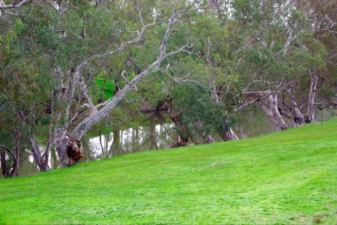 Yalooka Farm - Accommodation NT 4