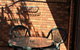 Horsham Midcity Court Motel - Chysauster Nominees P/L - thumb 3